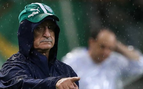 Técnico do Palmeiras, Luiz Felipe Scolari comandará seu time contra o CSA em jogo sem transmissão na televisão - CESAR GRECO/AGÊNCIA PALMEIRAS